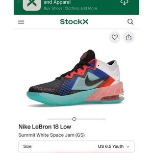 NEW In Box - Nike LeBron 18 Low Space Jam
